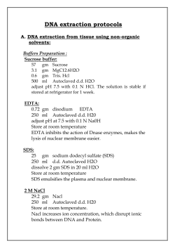 DNA extraction protocols
