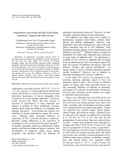 Angiotensin converting enzyme from sheep mammary, lingual and