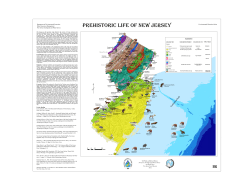 prehistoric life of new jersey