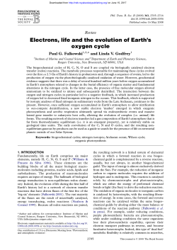 Electrons, life and the evolution of Earth`s oxygen cycle