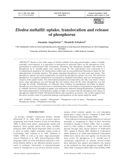 Elodea nuttallii: uptake, translocation and release of phosphorus