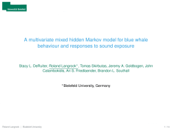 A multivariate mixed hidden Markov model for blue whale behaviour