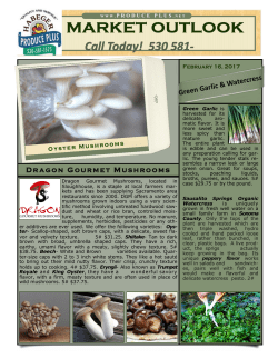 Dragon Gourmet Mushrooms