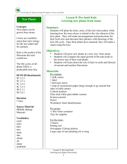 Lesson 8: Dry-land Kalo Growing new plants from stems Summary