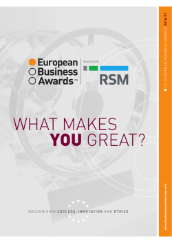 brochure - The European Business Awards