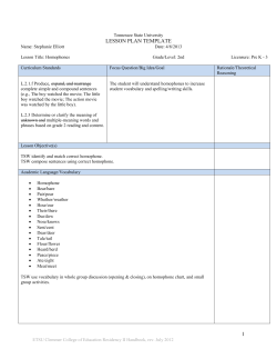 2nd Grade Homophone Lesson Plan