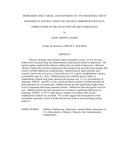 depression, drug abuse, and dopamine