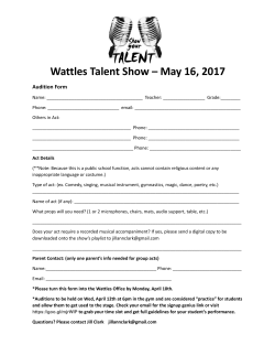 2017 Wattles Talent Show Audition Form