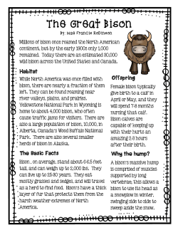 Animal Encounter Reading Handouts and Circles