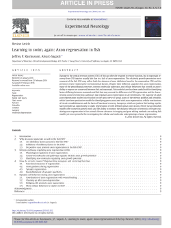 Learning to swim, again: Axon regeneration in fish