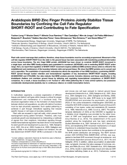 Arabidopsis BIRD Zinc Finger Proteins Jointly