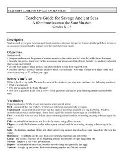 Teachers Guide for Savage Ancient Seas