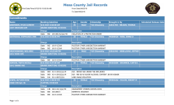 Mesa County Jail Records