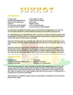 Stuffed Cabbage 2 quarts water 3 cloves garlic, crushed 8 whole