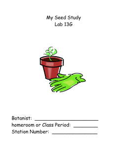 My Seed Study