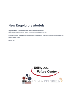 New Regulatory Models