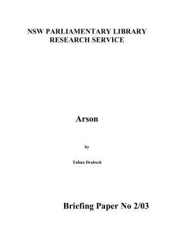 Arson Briefing Paper No 2/03
