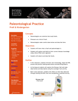 Paleontological Practice - Natural History Museum of Los Angeles