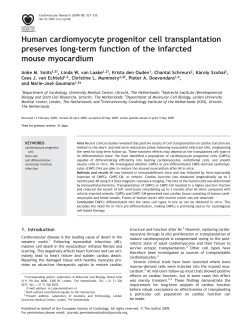Human cardiomyocyte progenitor cell transplantation preserves long
