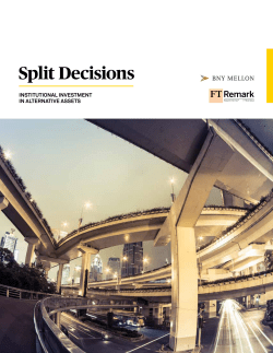 Split Decisions: Institutional Investment in Alternative