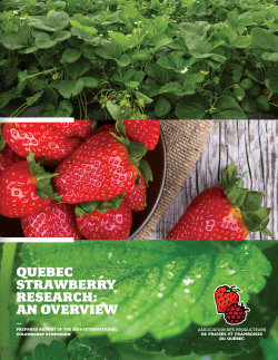 quebec strawberry research: an overview
