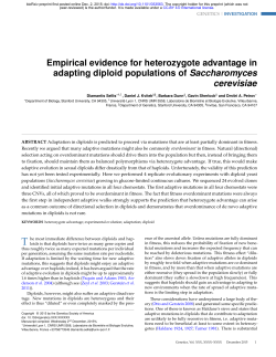 Empirical evidence for heterozygote advantage in adapting diploid
