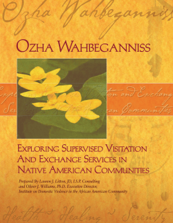 Ozha Wahbeganniss - Institute on Domestic Violence in the African