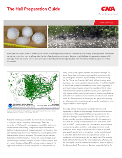 The Hail Preparation Guide