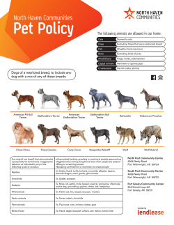 Pet Policy