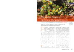 Molecular bryology: mosses in the genomic era