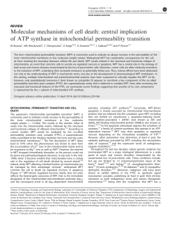 Molecular mechanisms of cell death: central implication of ATP