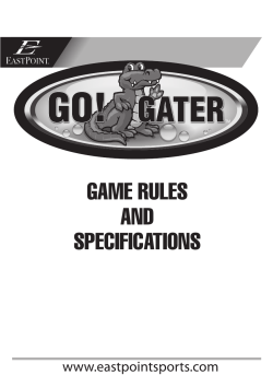 game rules and specifications