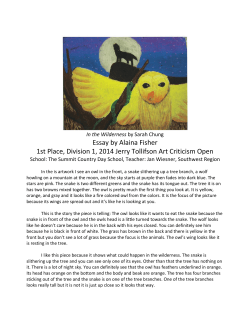 Essay by Alaina Fisher 1st Place, Division 1, 2014 Jerry Tollifson Art