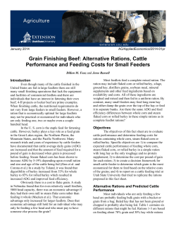 Grain Finishing Beef - DigitalCommons@USU