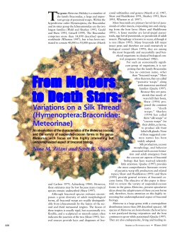 From Meteors to Death Stars - Oxford Academic