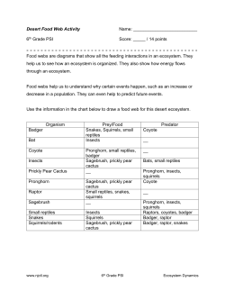 Desert Food Web Activity Name: 6th Grade PSI Score: _____ / 14