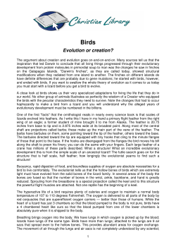 Birds - Christian Library