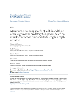 Maximum swimming speeds of sailfish and three other large marine