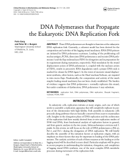 DNA Polymerases that Propagate the Eukaryotic DNA Replication