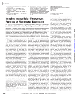Imaging Intracellular Fluorescent Proteins at Nanometer Resolution