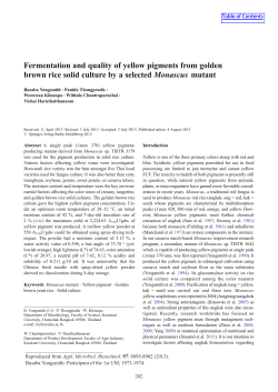 Fermentation and quality of yellow pigments from golden brown rice