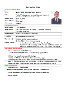 Curriculum Vitae