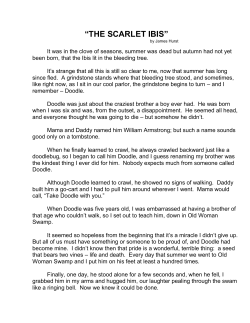 the scarlet ibis - North Iowa Community School