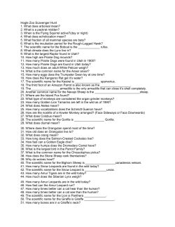 How does the Kangaroo Rat get it`s water?