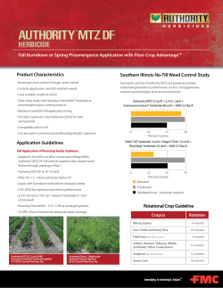 Authority MTZ Fact Sheet