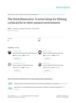 The third dimension: A novel setup for filming coelacanths in their