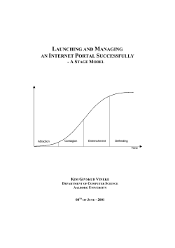 launching and managing an internet portal successfully