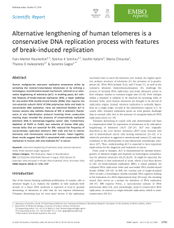 Alternative lengthening of human telomeres is a conservative DNA