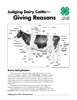 Judging Dairy Cattle&mdash;Giving Reasons