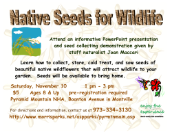 Attend an informative PowerPoint presentation and seed collecting